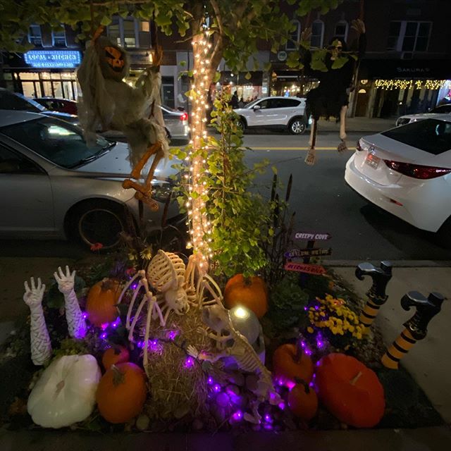 Take a photo at our Holiday display and tag #thethirstykoalahalloween to be entered to win a $50 gift certificate!
.
#astoria #ditmars #ditmarsblvd #befestive #havefun #whimsy #astoriamoms #happyfall #happyhalloween
